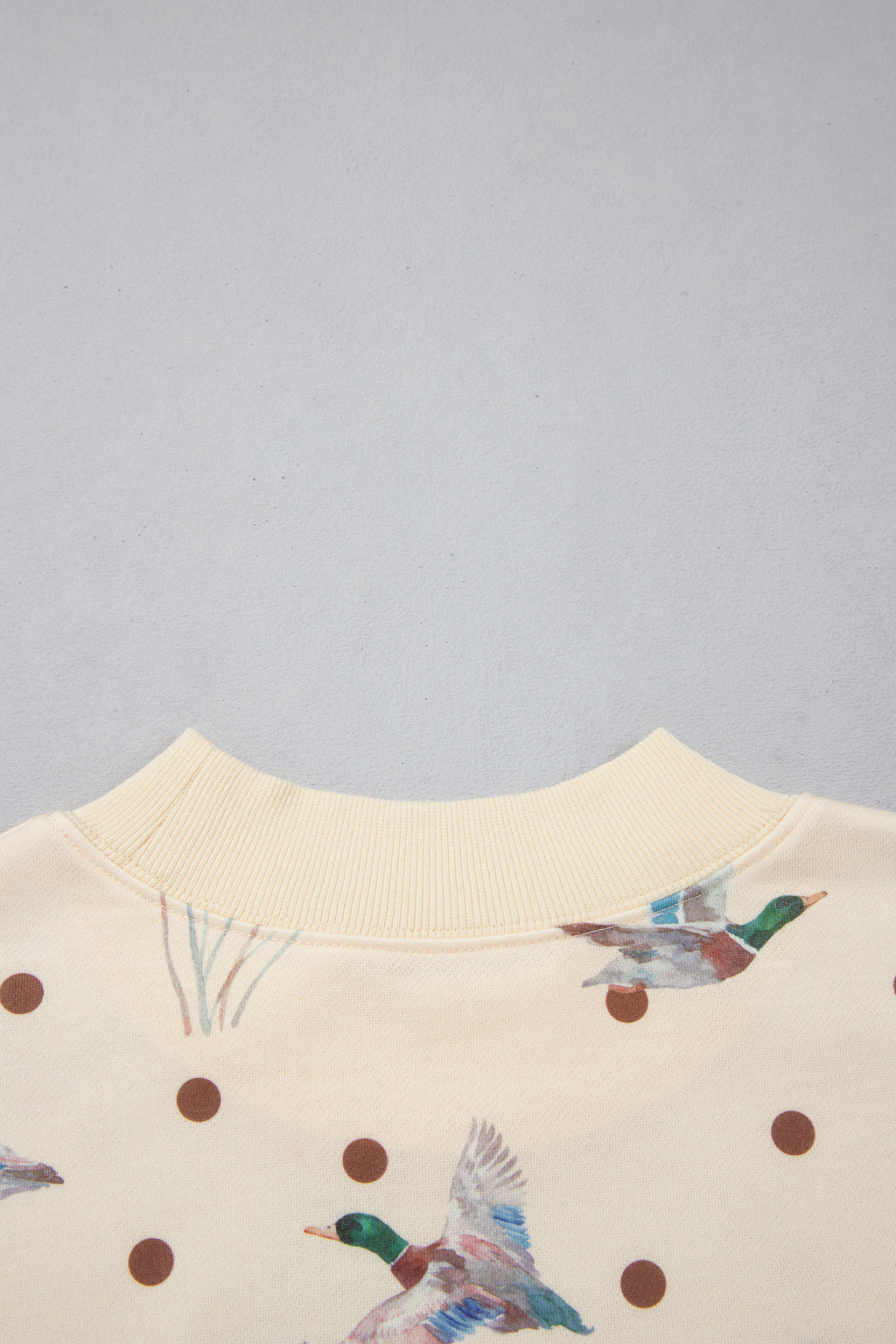 Beige Polka Dot Mallard Print Crewneck Pullover Two Piece Pants Set