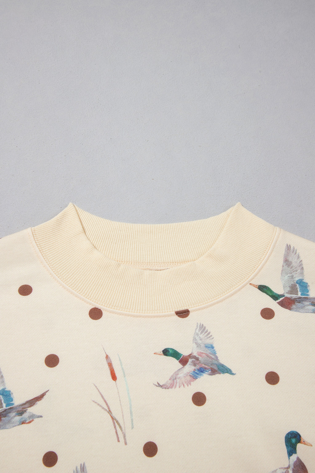 Beige Polka Dot Mallard Print Crewneck Pullover Two Piece Pants Set